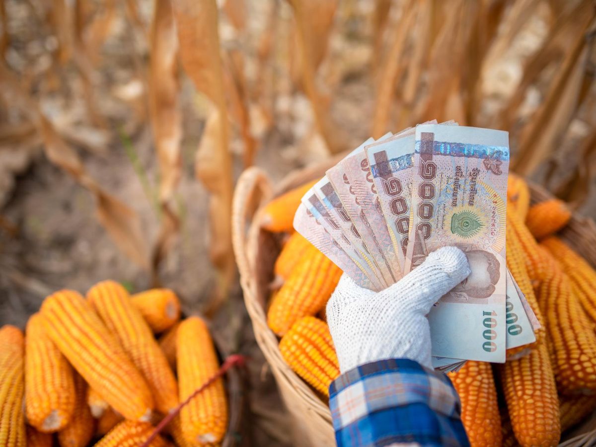 Ile kosztuje złotówka na Ukrainie i jak kształtuje się kurs wymiany?